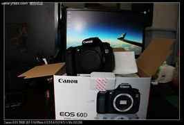 佳能60D单反相机实拍体验分享